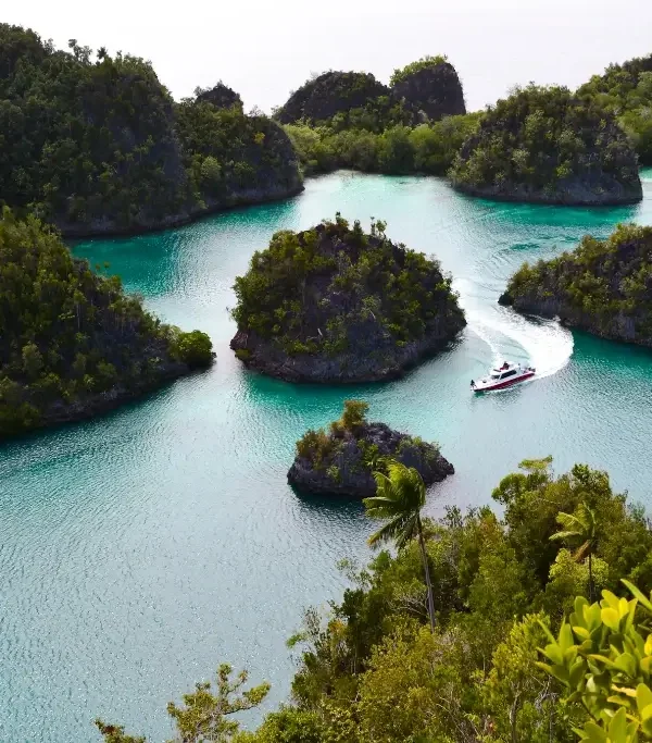 ecaaf50983864ec2aba62ffef46a7d4777d1dec7